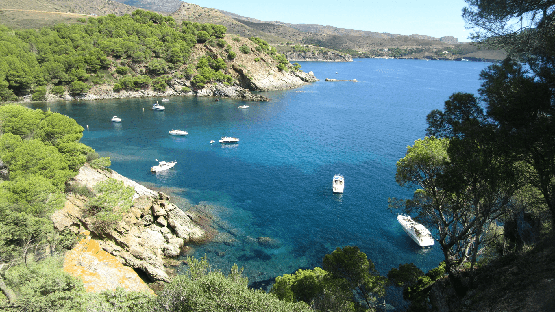Ausblick 2026: Was kann man vom Immobilienmarkt an der Costa Blanca erwarten